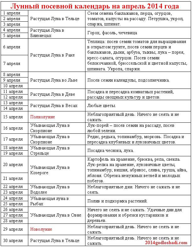 Что можно сажать когда лун Что можно сажать когда лун